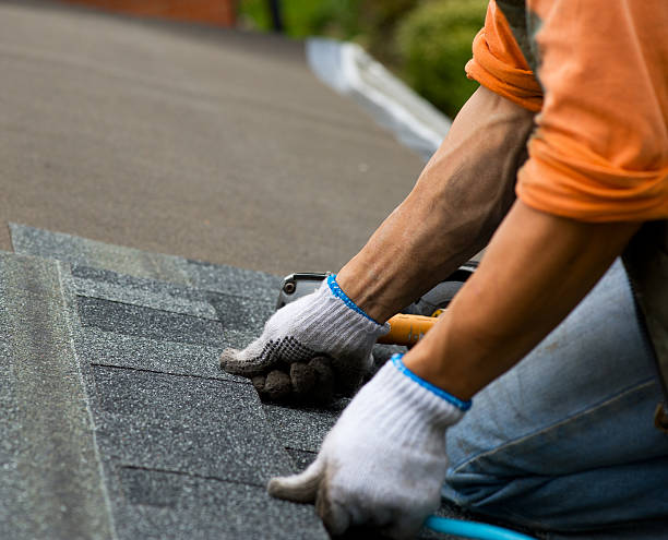 Best Metal Roofing Contractor  in Prince George, VA