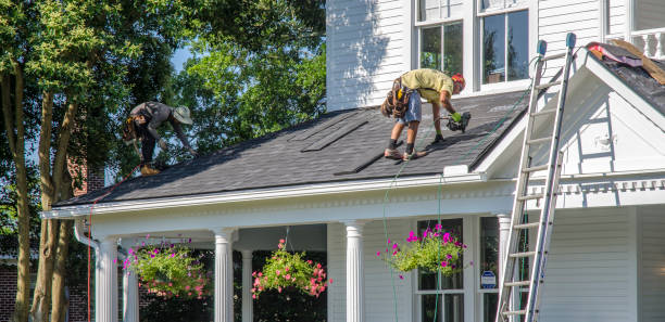 Best Roof Gutter Cleaning  in Prince George, VA